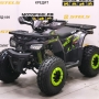   MotoLand ATV 125 WILD