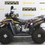   Stels ATV 110A HUGO