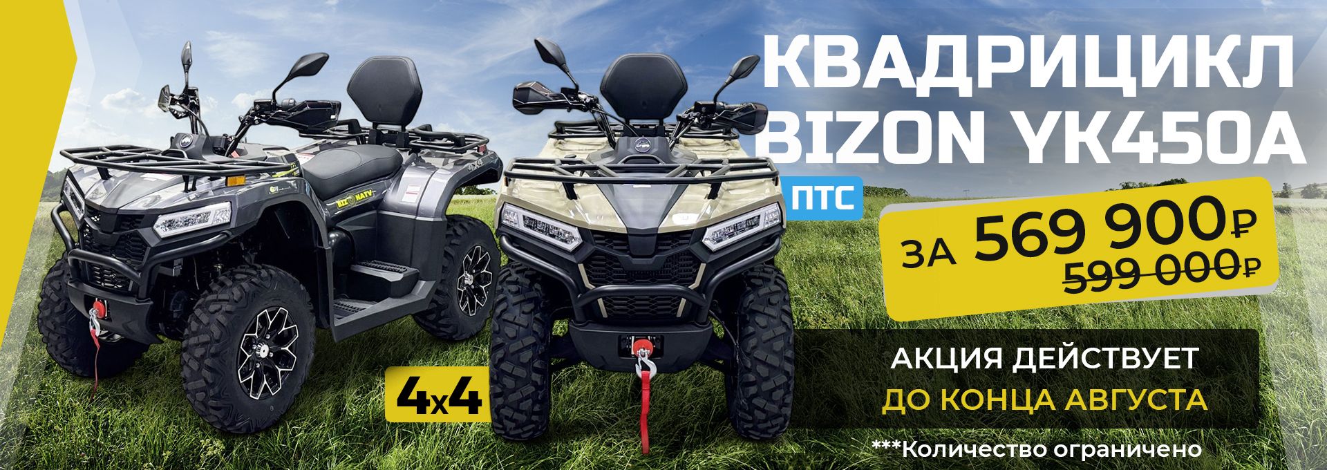 Скидка на Бизион 450