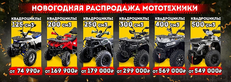 Распродажа Новогодняя 2025