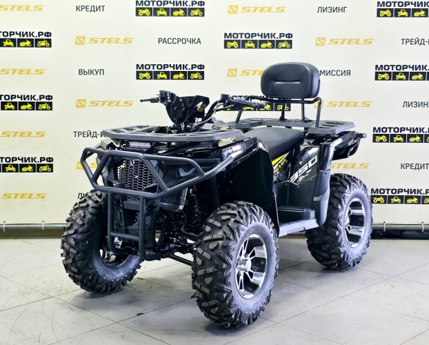 купить Квадроцикл Bizon ZX350