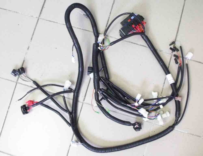 купить Жгут основной (с закрытым разъемом коннектора) 