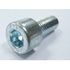 купить Винт M10x25 DIN 912-88P