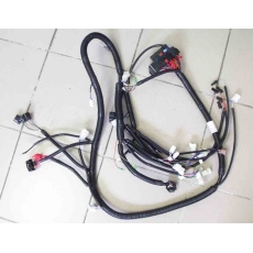 купить Жгут основной (с закрытым разъемом коннектора) 