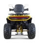 купить Квадроцикл Bison ATV 250F