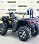 купить Квадроцикл Bizon ZX350