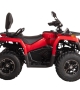 купить Квадроцикл Bizon YK200 BASIC CARB