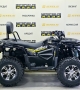 купить Квадроцикл Bizon ZX350