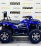 купить Квадроцикл Bizon ZX350