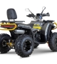 купить Квадроцикл Bison ATV 250F