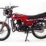 купить Мотоцикл MotoLand FORESTER LITE 200