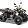 купить Квадроцикл Stels ATV 110A HUGO