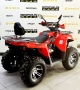 купить Квадроцикл Bison Hammer 250 PRO