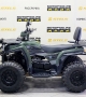 купить Квадроцикл Bison ATV 250F