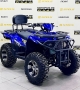 купить Квадроцикл Bizon ZX350