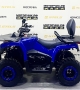 купить Квадроцикл Bizon YK200 BASIC CARB