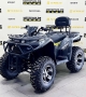 купить Квадроцикл Bizon ZX350