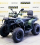купить Квадроцикл Bison ATV 250F
