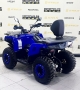 купить Квадроцикл Bizon YK200 BASIC CARB