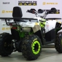   MotoLand ATV 200 WILD TRACK LUX (. )