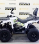 купить Квадроцикл IRIDE ROVER 200 LONG