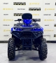 купить Квадроцикл Bizon ZX350