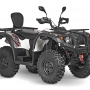   Baltmotors Striker 500 EFI