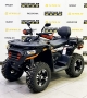 купить Квадроцикл Tao Motor Titan 300 EFI