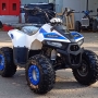   MotoLand ATV 110 EAGLE