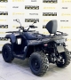 купить Квадроцикл Segway ATV AT5 LЕ