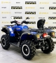 купить Квадроцикл Stels ATV 650YL EFI Leopard