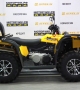 купить Квадроцикл Stels ATV 650YL EFI Leopard