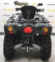 купить Квадроцикл Stels ATV 650YL EFI Leopard