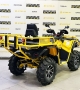 купить Квадроцикл Stels ATV 800 Guepard FF Trophy EPS CARGO 2.0