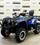 купить Квадроцикл Stels ATV 650YL EFI Leopard