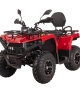 купить Квадроцикл Bizon YK200 BASIC CARB