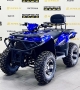 купить Квадроцикл Bizon ZX350