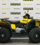 купить Квадроцикл Stels ATV 500YS Leopard