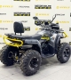 купить Квадроцикл Bison ATV 250F LUX