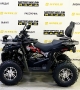 купить Квадроцикл Bison Hammer 200 Long Lux
