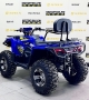 купить Квадроцикл Bizon ZX350