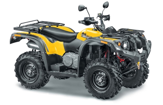 купить Квадроцикл Stels ATV 500YS Leopard