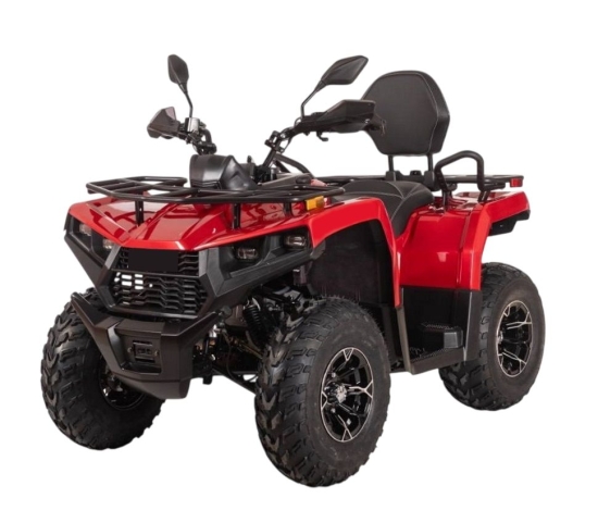 купить Квадроцикл Bizon YK200 BASIC CARB