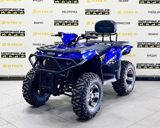 купить Квадроцикл Bizon ZX350