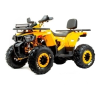 купить Квадроцикл MotoLand WILD TRACK X Winch 200 PRO (баланс. вал)
