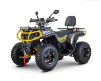 купить Квадроцикл Bison ATV 250F LUX