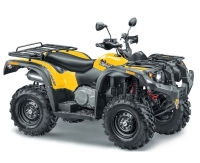 купить Квадроцикл Stels ATV 500YS Leopard