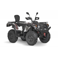   Baltmotors Striker 500 EFI